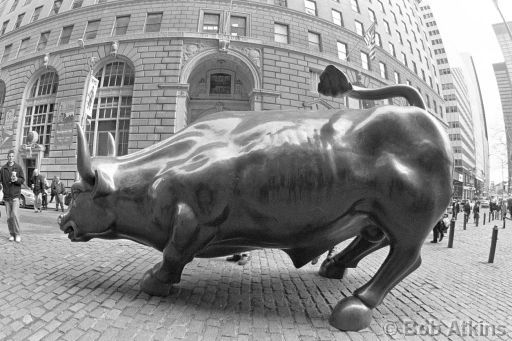 031902-tx-m-14.jpg   -   Bulls on Wall Street! New York City