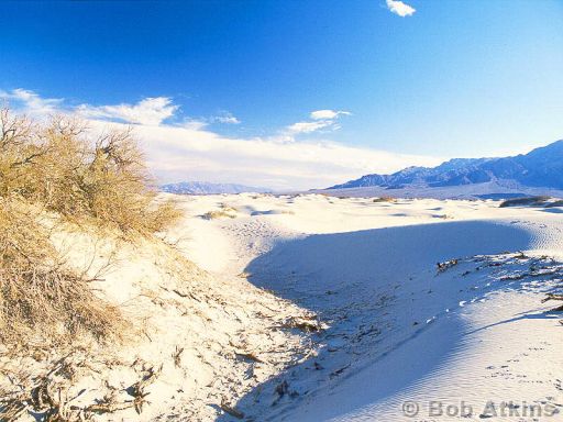 desert_TEMP0487.JPG   -   Sand dunes, Death Valley National Park, California