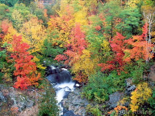 fall_foliage_TEMP0444.JPG   -   Fall Foliage, Acadia National Park, Maine