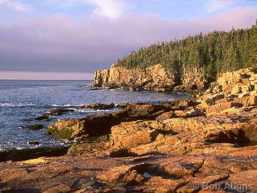 ocean_TEMP0452.JPG   -   Sunrise on otter cliffs, Acadia National Park, Maine