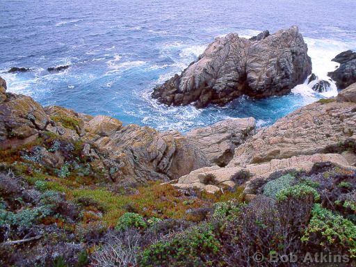 ocean_TEMP0501.JPG   -   Shore of the California coast