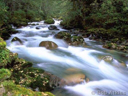 river_TEMP0105.JPG   -   River, North Cascades National Park, Washington
