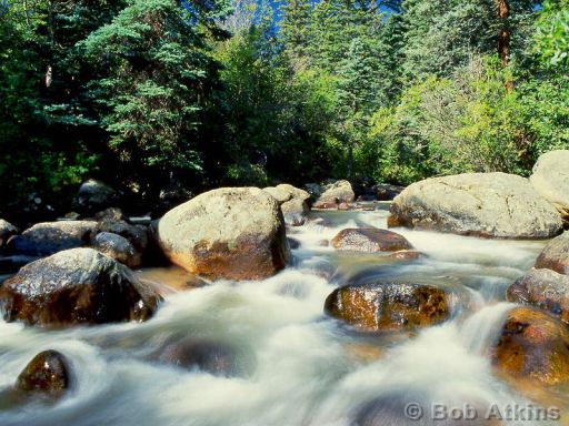 river_TEMP0492.JPG   -   River, Rocky Mountain National Park
