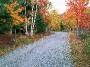 Cariage road and fall foliage, Acadia National Park, Maine