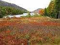 Fall foliage, Jordan Pond, Acadia National Park, Maine