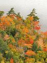 Fall foliage near Jordan Pond,  Acadia National Park, Maine