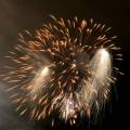 Canon EF 17-85/4-5.6 IS USM
<br><br>
Keywords: fireworks, celebration, July 4th, patterns, abstract
<BR><BR> 