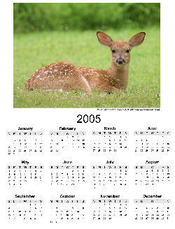 Photo calendar for 2005 - Bob Atkins Photography