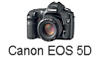 Canon EOS Digital Rebel XT Preview