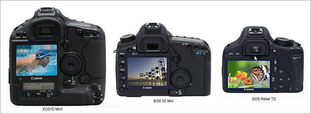 Canon EOS 1D MkIV Review