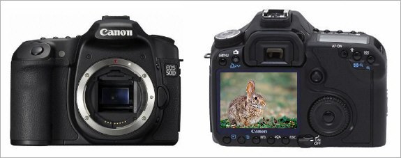 Canon EOS 50D Review