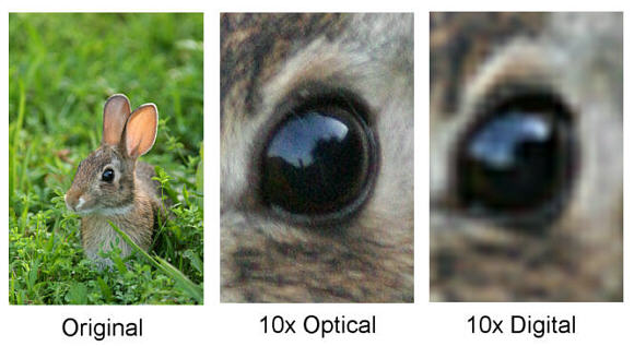http://www.bobatkins.com/photography/digital/digital_zoom_vs_optical_zoom.jpg