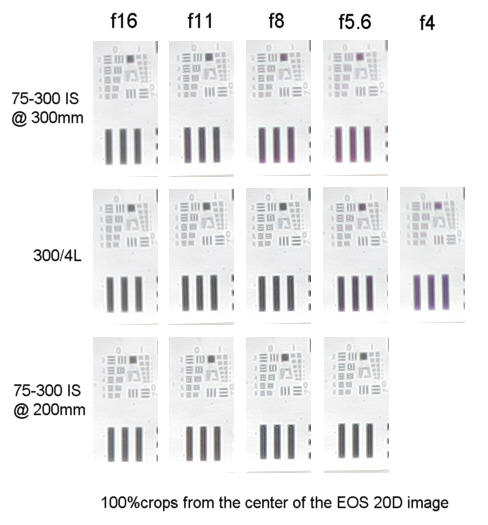 Canon EF 300/4L IS USM ; Canon EF 75-300/4-5.6 IS USM