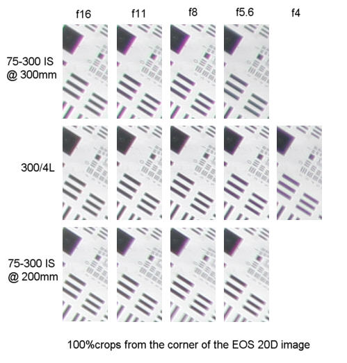 Canon EF 300/4L IS USM ; Canon EF 75-300/4-5.6 IS USM