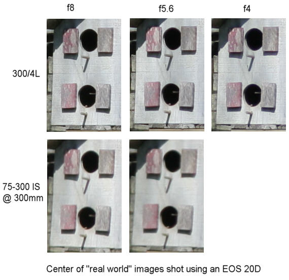 Canon EF 300/4L IS USM ; Canon EF 75-300/4-5.6 IS USM