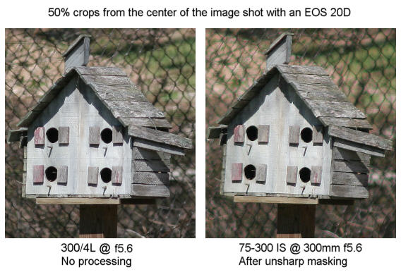 Canon EF 300/4L IS USM ; Canon EF 75-300/4-5.6 IS USM