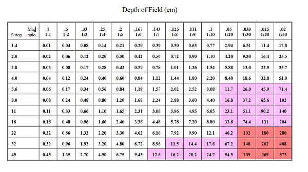 Dof Chart