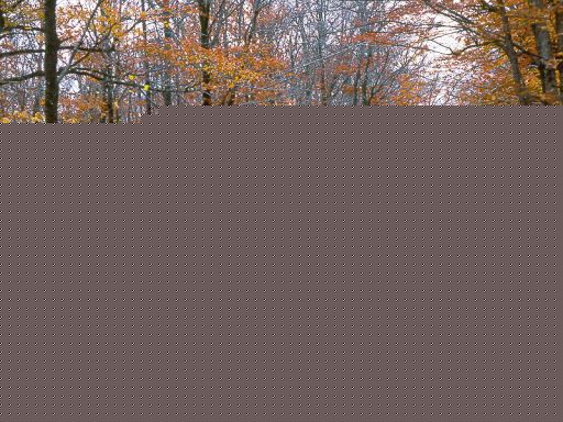 fall_foliage_TEMP0526.JPG   -   Fall foliage