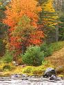 Fall Foliage Maine