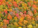 Fall Foliage Maine