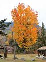 Fall Foliage, Katahdin Stream, Baxter State Park, Maine