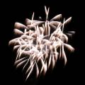 Canon EF 17-85/4-5.6 IS USM
<br><br>
Keywords: fireworks, celebration, July 4th, patterns, abstract
<BR><BR> 