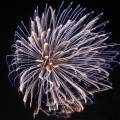 Canon EF 17-85/4-5.6 IS USM
<br><br>
Keywords: fireworks, celebration, July 4th, patterns, abstract
<BR><BR> 