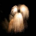 Canon EF 17-85/4-5.6 IS USM
<br><br>
Keywords: fireworks, celebration, July 4th, patterns, abstract
<BR><BR> 