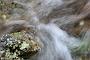 This series of images was made in Acadia National Park, near Bar Harbor, Maine in the Fall of 2005 after a particularly rainy period. When the rain ended I went out to photograph a few streams which were in full flow. I've been back to the same area several times since, but never seen them flowing like this.