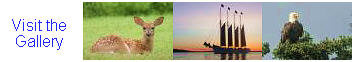 Bob Atkins Photography - Digital, Canon EOS, Nature, Reviews, Lens Tests, Optics, Gallery