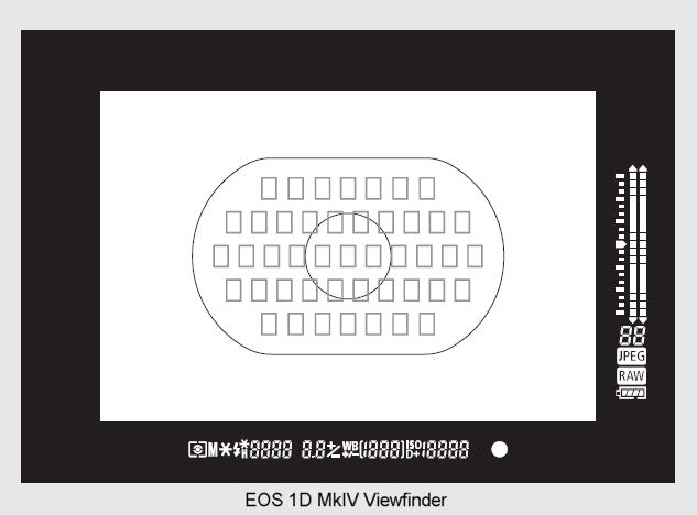 Canon EOS 1D MkIV Review