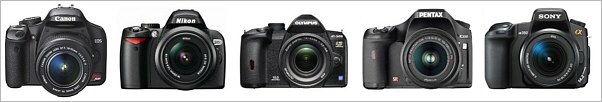 Entry Level DSLRs