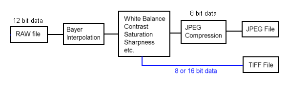 raw-lowchart2.gif (7658 bytes)