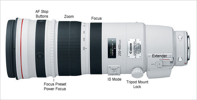 Canon EF 200-400/4L IS USM Extender Hands-on Review