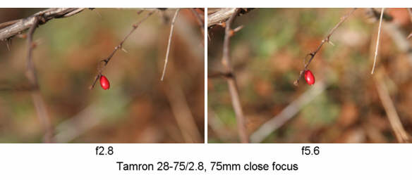 Tamron SP AF28-75/2.8 XR Di LD Aspherical (IF) Macro Review