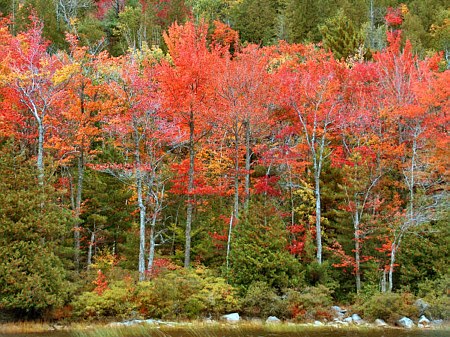 Acadia National Park Photography Guide