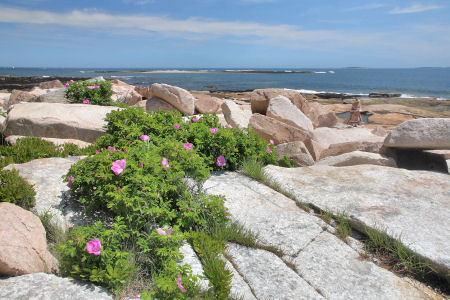 Acadia National Park Photography Guide