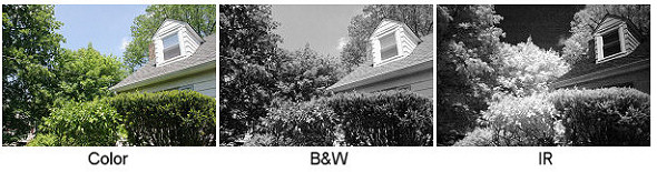 infrared.jpg (52115 bytes)