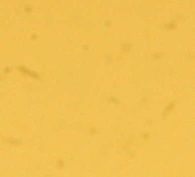 Dust on CMOS Sensor of Canon EOS 10D prior to cleaning