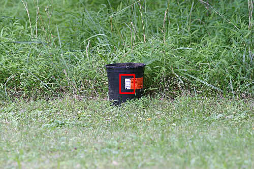 Canon EOS Teleconverters Multipliers